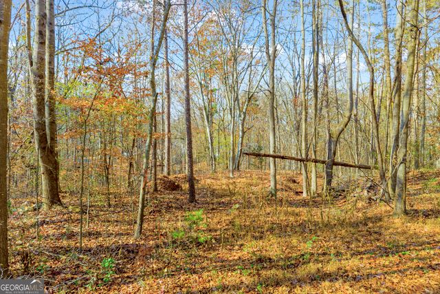 0316 Arrowhead Drive 316, Lavonia, GA 30553