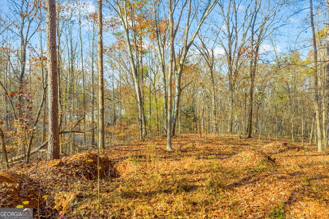 0316 Arrowhead Drive 316, Lavonia, GA 30553