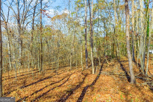 0316 Arrowhead Drive 316, Lavonia, GA 30553