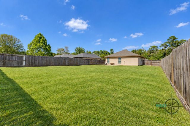 8825 E Buffalo Circle, Willis, TX 77378