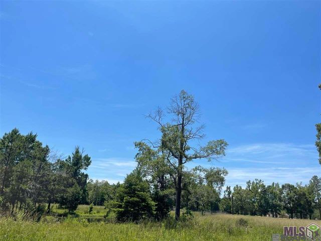 34235 Cane Market Rd, Walker, LA 70785