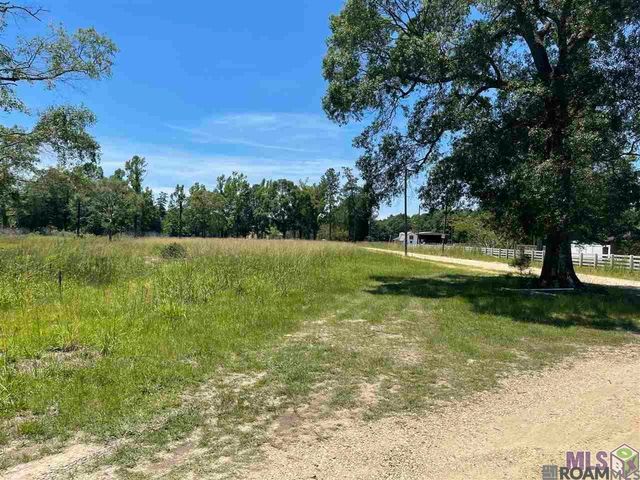 34235 Cane Market Rd, Walker, LA 70785