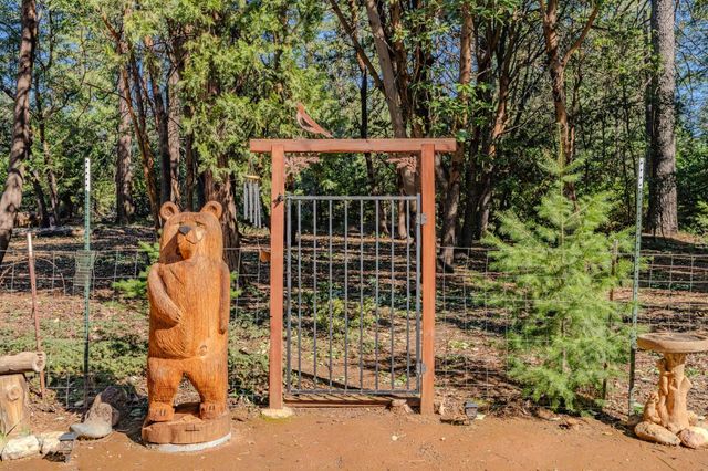 23871 Meadow Crest Dr, Pioneer, CA 95666