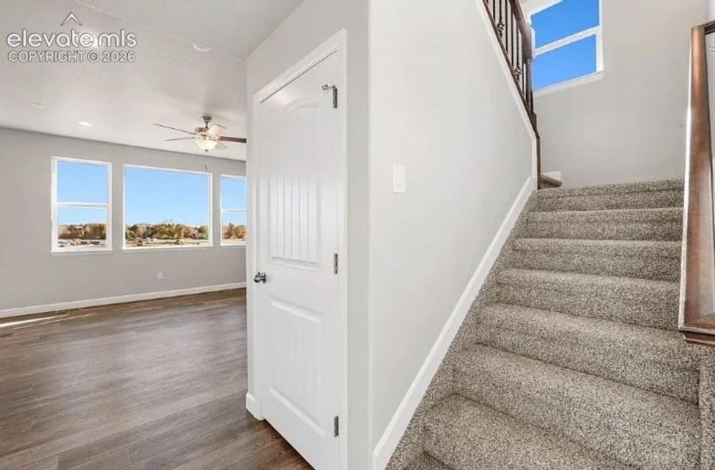 7201 Alpine Daisy Drive, Colorado Springs, CO 80925 — photo 5