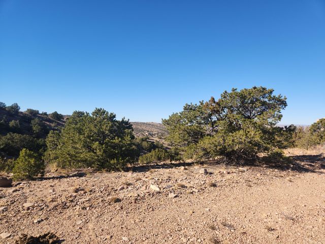 56 CAMINO DE LAS BRISAS, Placitas, NM 87043