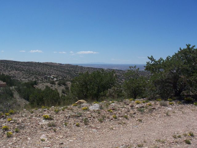 56 CAMINO DE LAS BRISAS, Placitas, NM 87043