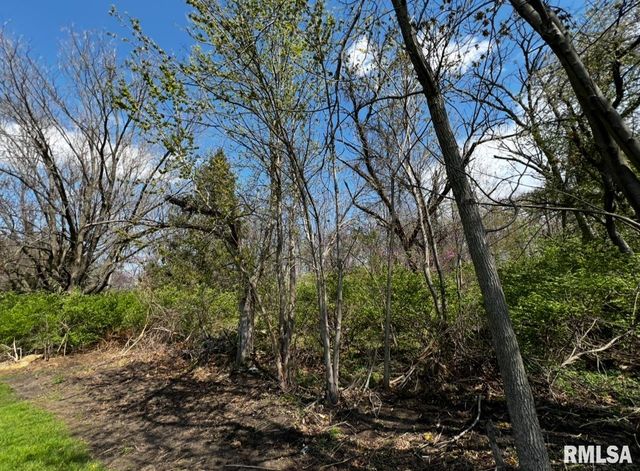 LOT 201 JAMES Street, Port Byron, IL 61256