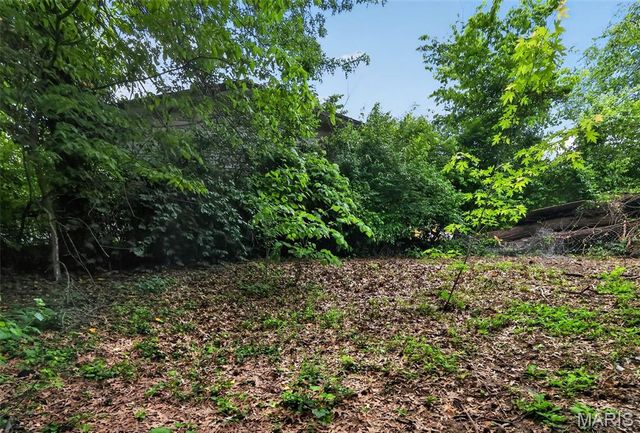 10247 Valley Drive, St Louis, MO 63137