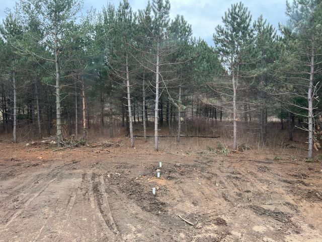 651 196th Avenue, Somerset, WI 54025