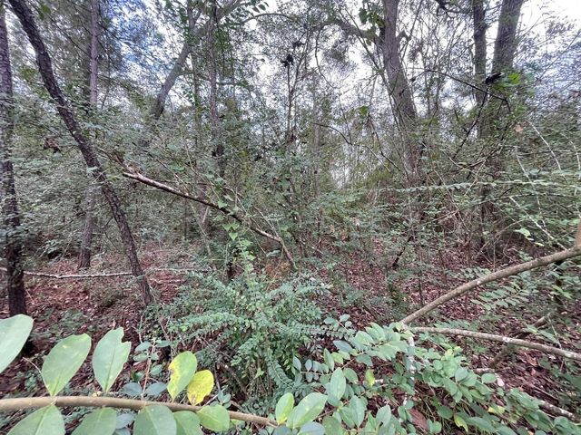 0 Elkfield Lane, Humble, TX 77338