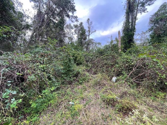 0 Elkfield Lane, Humble, TX 77338