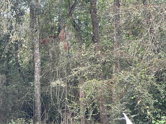 0 Elkfield Lane, Humble, TX 77338