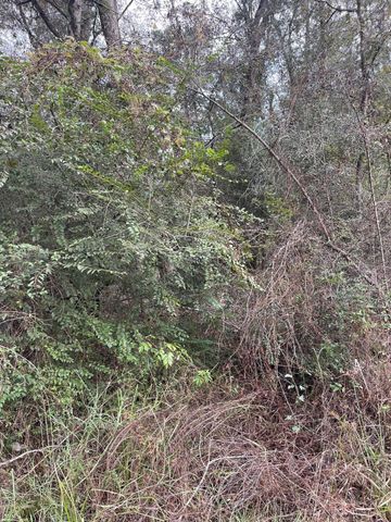 0 Elkfield Lane, Humble, TX 77338