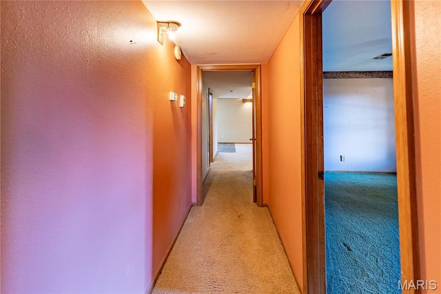 22 Greenbriar Drive, New Madrid, MO 63869