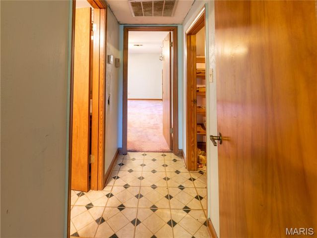 22 Greenbriar Drive, New Madrid, MO 63869