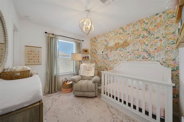 17858 Juneberry Seed Street, Hockley, TX 77447