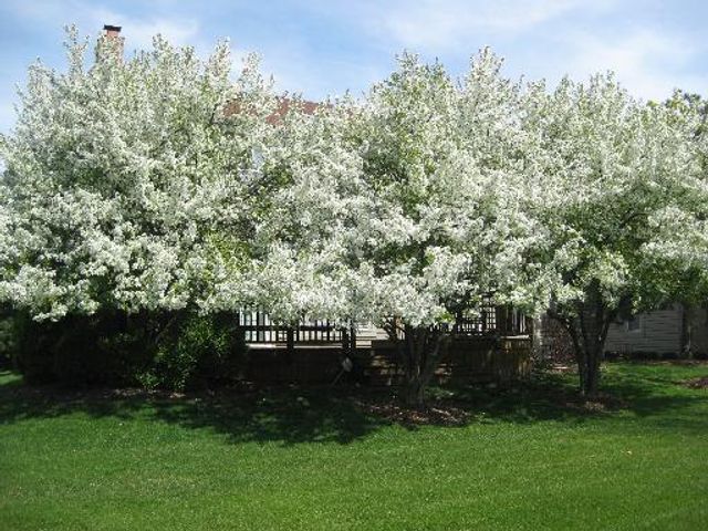 182 Ashfield Court, Bloomingdale, IL 60108