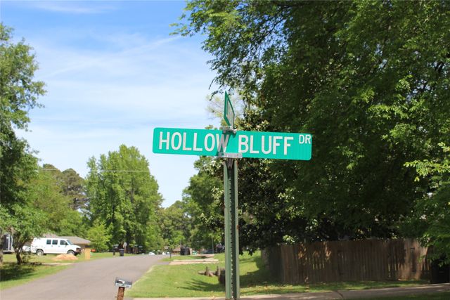 9021 Hollow Bluff Drive, Haughton, LA 71037