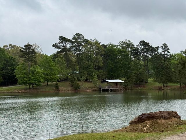 3722 HOLLY RD., Gilmer, TX 75644