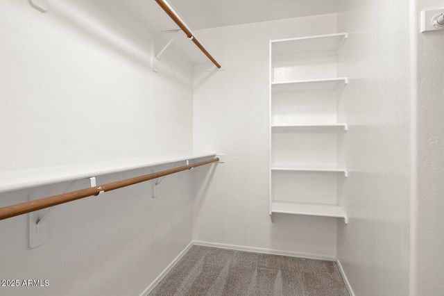 3297 E WARBLER Road, Gilbert, AZ 85297