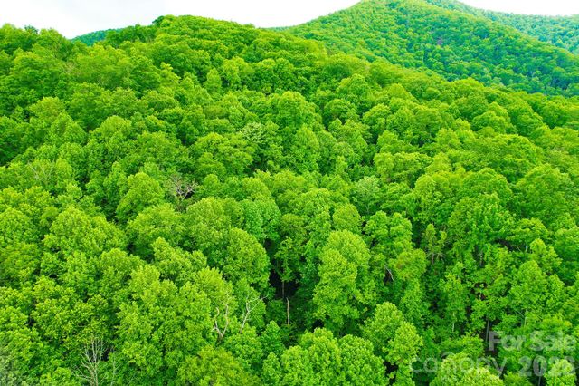 4 White Birch Court 422, Black Mountain, NC 28711