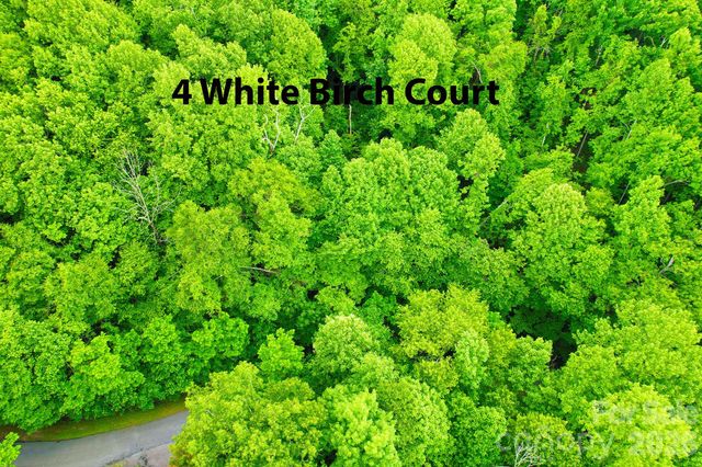 4 White Birch Court 422, Black Mountain, NC 28711