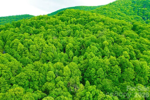 4 White Birch Court 422, Black Mountain, NC 28711
