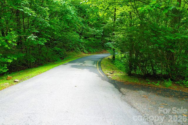 4 White Birch Court 422, Black Mountain, NC 28711