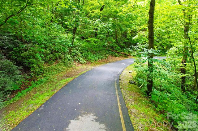 4 White Birch Court 422, Black Mountain, NC 28711
