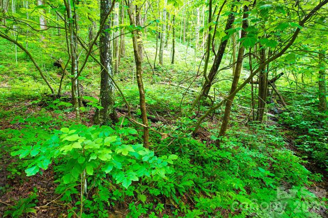 4 White Birch Court 422, Black Mountain, NC 28711