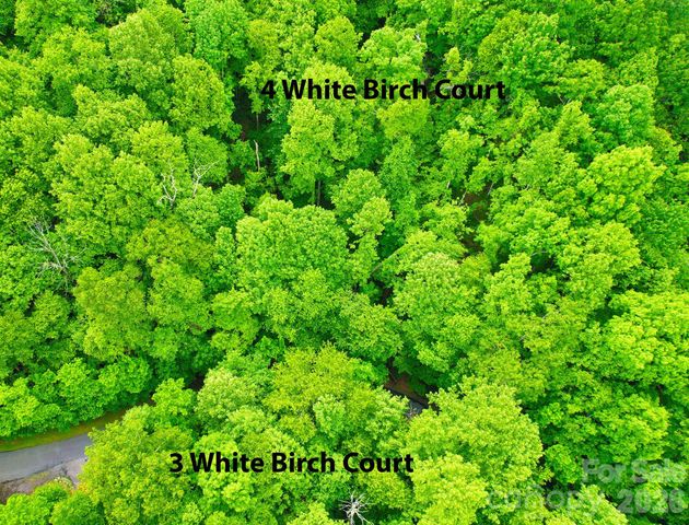 4 White Birch Court 422, Black Mountain, NC 28711