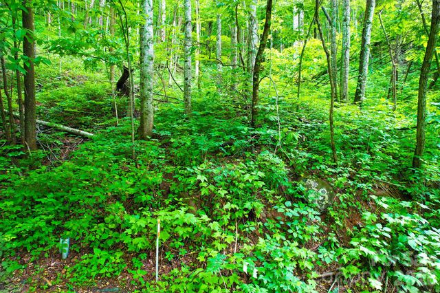 4 White Birch Court 422, Black Mountain, NC 28711