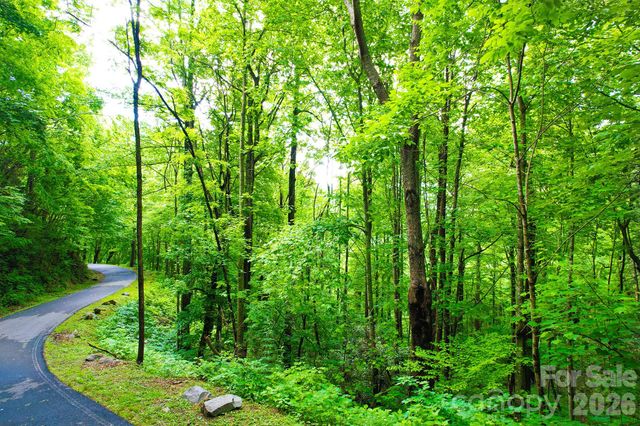 4 White Birch Court 422, Black Mountain, NC 28711