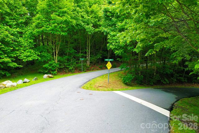 4 White Birch Court 422, Black Mountain, NC 28711