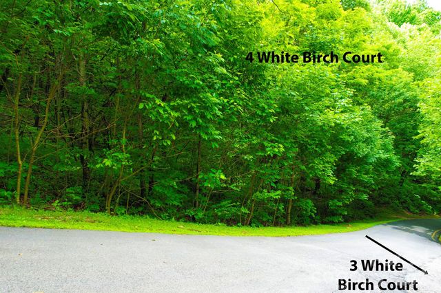 4 White Birch Court 422, Black Mountain, NC 28711