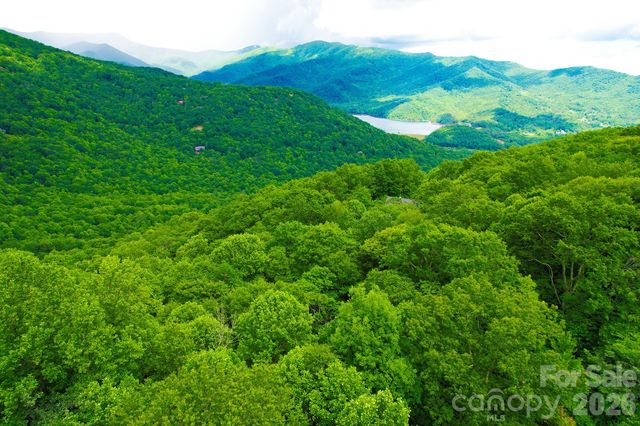 4 White Birch Court 422, Black Mountain, NC 28711
