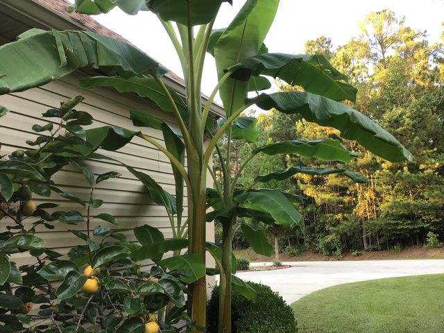 218 Monroe Lane, Mccormick, SC 29835