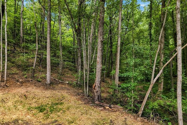 2296 Hwy 136e, Jasper, GA 30143