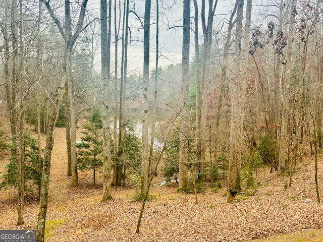 1048 Echota Road, Clarkesville, GA 30523