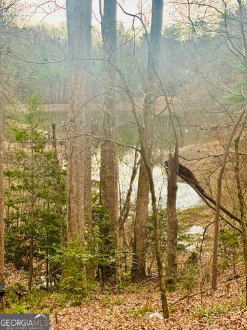 1048 Echota Road, Clarkesville, GA 30523