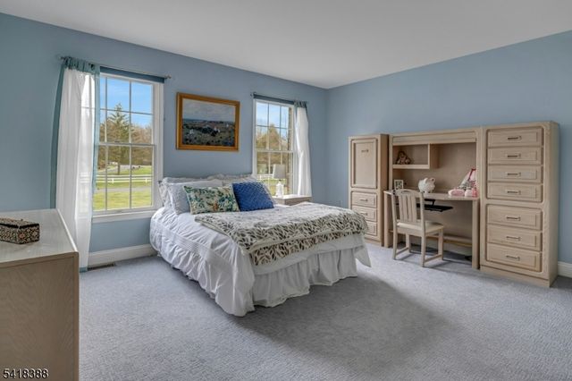 15 Spring Lake Dr, Chester Twp., NJ 07931