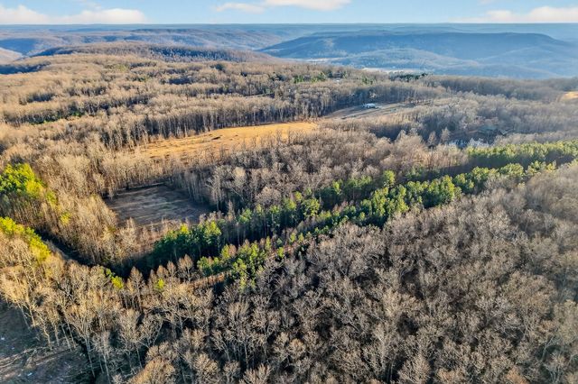 1011 Low Gap Rd, Sparta, TN 38583