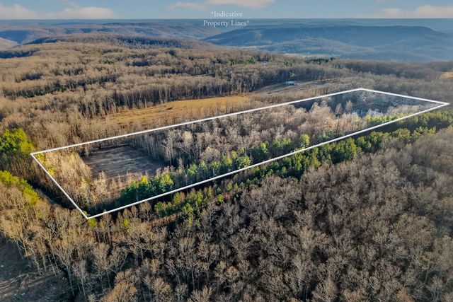 1011 Low Gap Rd, Sparta, TN 38583