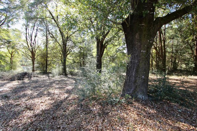 7722 Clary Road, Laurel Hill, FL 32567