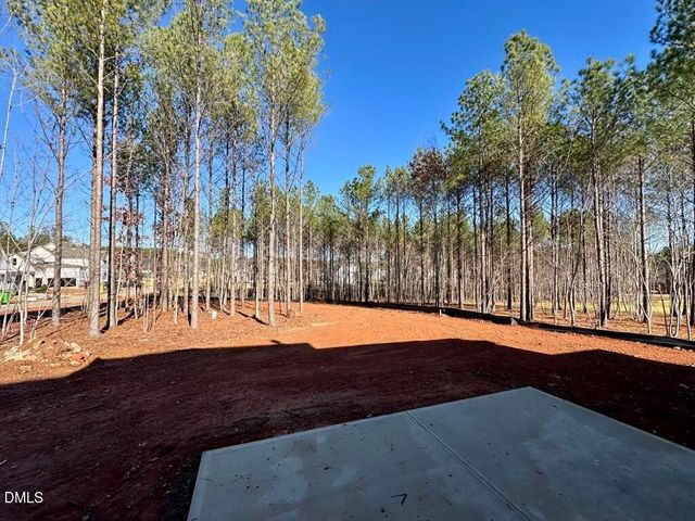 15 Chestnut Oak Drive, Youngsville, NC 27596