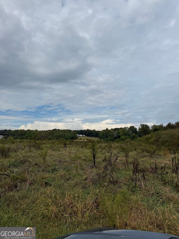 191 W L Williams Road, Commerce, GA 30530 — photo 3
