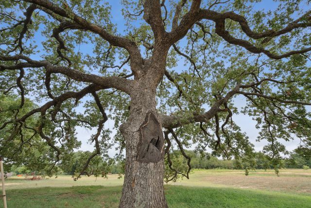 298 Townson, Dublin, TX 76446