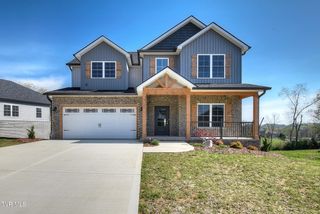 264 Dry Kiln Court, Gray, TN 37615