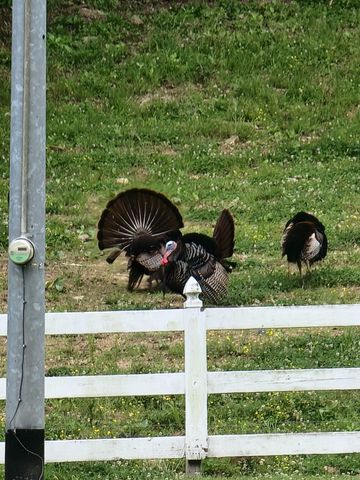 54 Warden Rd, Fayetteville, TN 37334