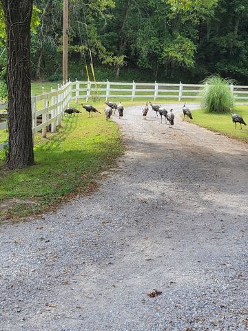 54 Warden Rd, Fayetteville, TN 37334